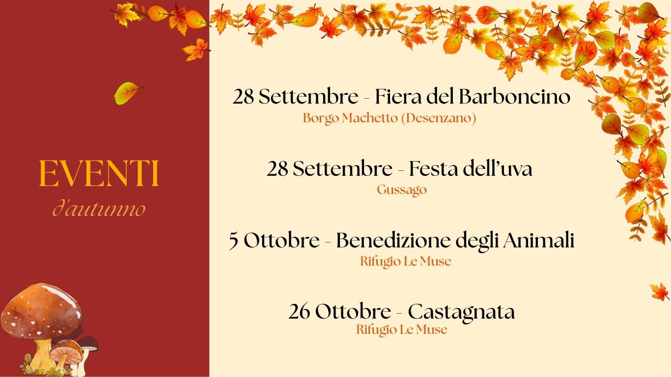 EVENTI 2025