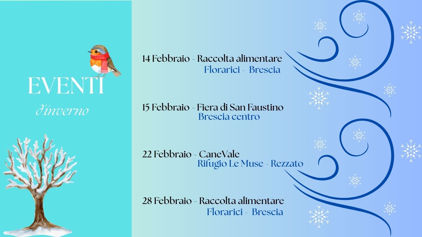 inverno 26